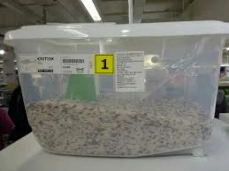 Paint container mould